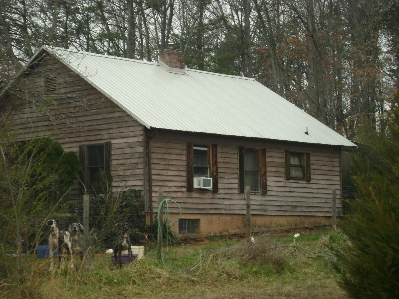 White metal roof on an old wood sided farmhouse, from a Asphalt Shingle Roof Repair job in Oxbow